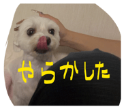 857140145