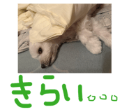 857140161