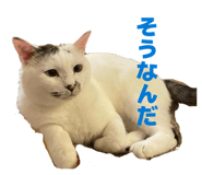 857140873
