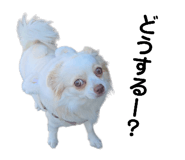 857141451