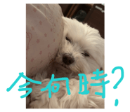 857141553