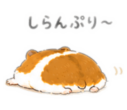 857143422