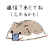 857143437