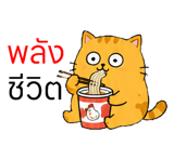 857143666