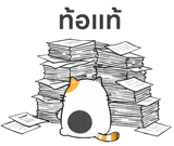 857143674