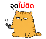 857143681