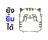 857143688