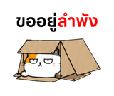 857143693