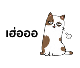 857143694