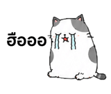 857143695