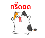 857143697