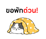 857143698