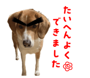 857143868