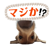 857143870
