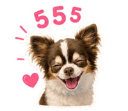 857144659