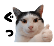 857145032