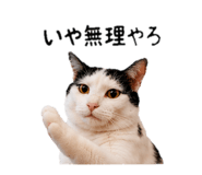 857145056