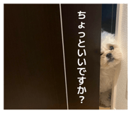 857145510