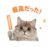 857145768