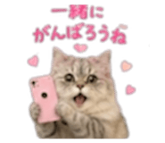 857145774