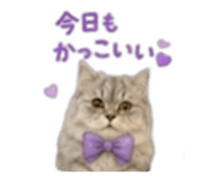 857145777