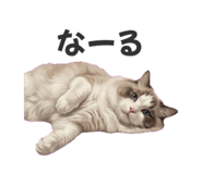 857145880