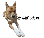 857147070