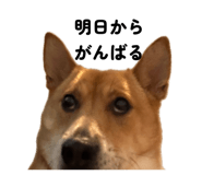 857147073