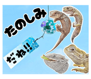 857147137