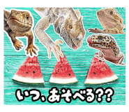 857147138