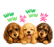 857147358