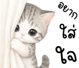 เหมียวมี่ แมวน้อยแสนซน รูปที่ 1