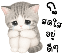 เหมียวมี่ แมวน้อยแสนซน รูปที่ 3