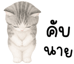 เหมียวมี่ แมวน้อยแสนซน รูปที่ 4
