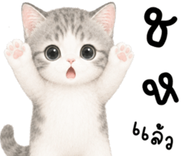 เหมียวมี่ แมวน้อยแสนซน รูปที่ 5