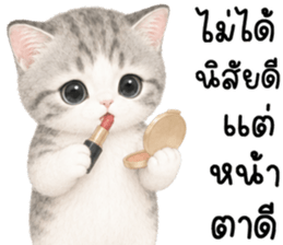เหมียวมี่ แมวน้อยแสนซน รูปที่ 6