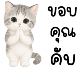 เหมียวมี่ แมวน้อยแสนซน รูปที่ 8
