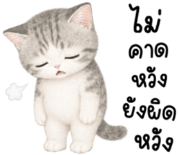 เหมียวมี่ แมวน้อยแสนซน รูปที่ 9