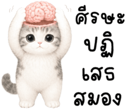 เหมียวมี่ แมวน้อยแสนซน รูปที่ 12