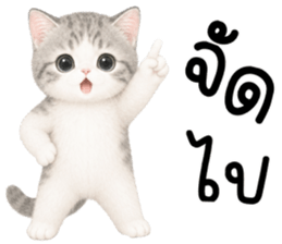 เหมียวมี่ แมวน้อยแสนซน รูปที่ 13