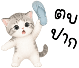 เหมียวมี่ แมวน้อยแสนซน รูปที่ 16