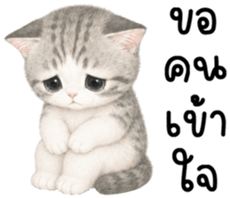เหมียวมี่ แมวน้อยแสนซน รูปที่ 18