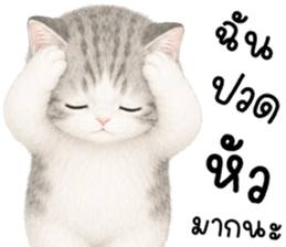 เหมียวมี่ แมวน้อยแสนซน รูปที่ 20