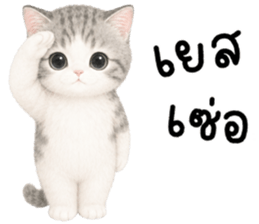 เหมียวมี่ แมวน้อยแสนซน รูปที่ 21