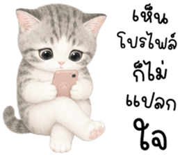 เหมียวมี่ แมวน้อยแสนซน รูปที่ 22