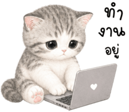 เหมียวมี่ แมวน้อยแสนซน รูปที่ 23