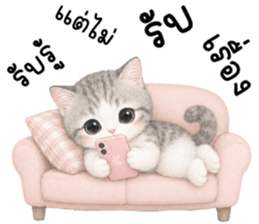 เหมียวมี่ แมวน้อยแสนซน รูปที่ 24