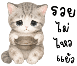 เหมียวมี่ แมวน้อยแสนซน รูปที่ 25