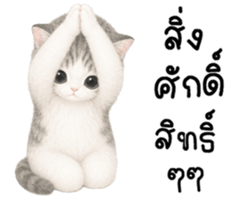 เหมียวมี่ แมวน้อยแสนซน รูปที่ 27