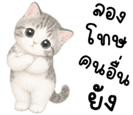 เหมียวมี่ แมวน้อยแสนซน รูปที่ 29